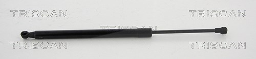 Triscan Gasfeder, Koffer-/Laderaum [Hersteller-Nr. 871025254] für Renault