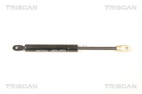 Triscan Gasfeder, Koffer-/Laderaum [Hersteller-Nr. 871020202] für Porsche