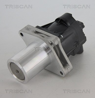 Triscan AGR-Ventil [Hersteller-Nr. 881324205] für Opel, Vauxhall, Chevrolet