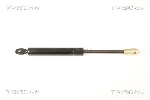 Triscan Gasfeder, Koffer-/Laderaum [Hersteller-Nr. 871020201] für Porsche