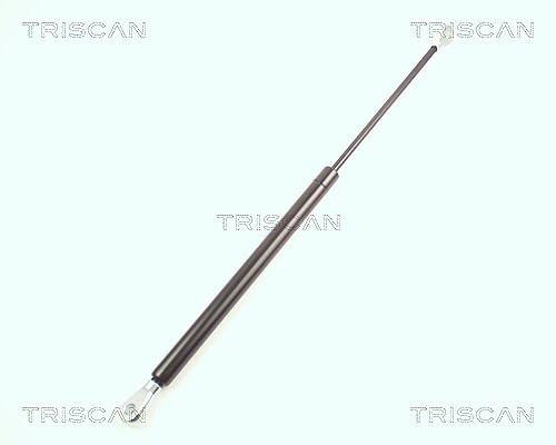 Triscan Gasfeder, Motorhaube [Hersteller-Nr. 871016102] für Jaguar
