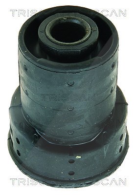 Triscan Lagerung, Achskörper [Hersteller-Nr. 850011839] für BMW