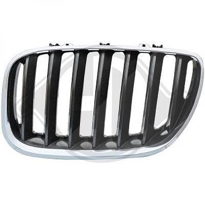 Diederichs Kühlergitter [Hersteller-Nr. 1290043] für BMW