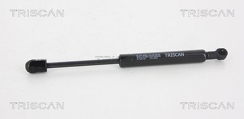 Triscan Gasfeder, Motorhaube [Hersteller-Nr. 871025104] für Renault