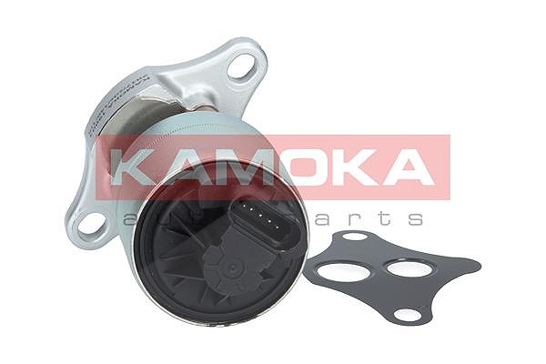 Kamoka AGR-Ventil [Hersteller-Nr. 19001] für Peugeot, Opel, Dodge, Vauxhall, Skoda, Alfa Romeo, Volvo, VW, Fiat, BMW