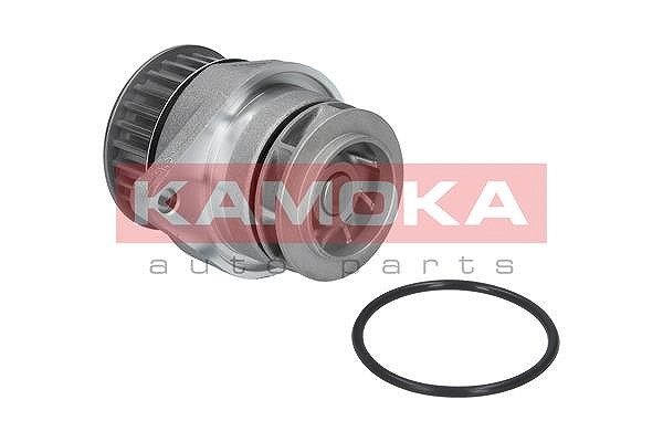 Kamoka Wasserpumpe [Hersteller-Nr. T0026] für Audi, Seat, Renault, Ford, Toyota, VW, Dodge