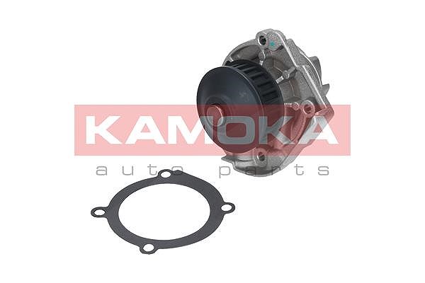 Kamoka Wasserpumpe [Hersteller-Nr. T0118] für Lancia, Daihatsu, Fiat, Mitsubishi, Lotus, Opel, Zastava, Ford, Chrysler, Ford Usa, Cadillac