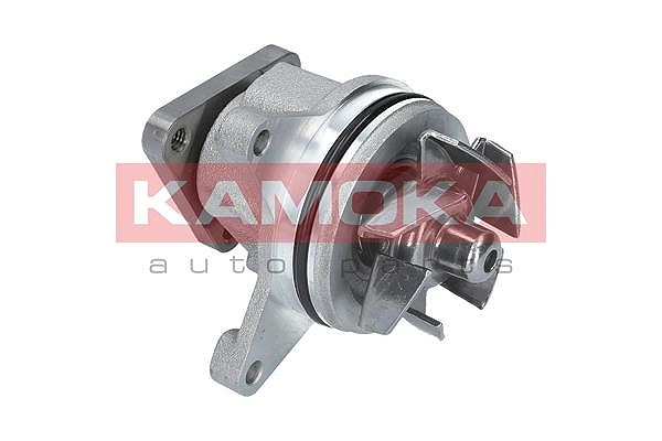 Kamoka Wasserpumpe [Hersteller-Nr. T0136] für Mazda, Renault, Mercedes-Benz, Volvo, Citroën, Ford, Hyundai, Seat, Toyota, Amc, Mitsubishi, VW, Alfa Ro