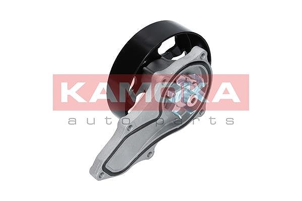 Kamoka Wasserpumpe [Hersteller-Nr. T0146] für Toyota, Citroën, BMW, Maserati, Nissan, Acura, Honda