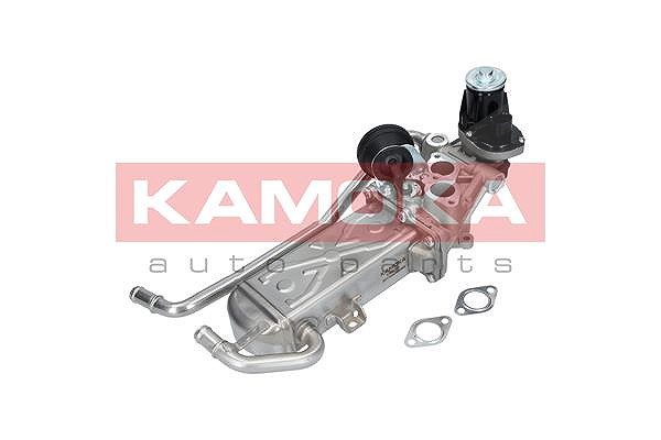 Kamoka AGR-Modul [Hersteller-Nr. 19070] für Audi, BMW, Chevrolet, Pontiac, Seat, Skoda, Opel