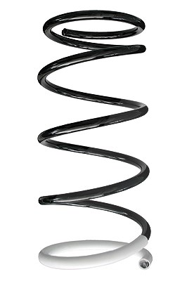 Spidan Fahrwerksfeder [Hersteller-Nr. 85245] für Mitsubishi