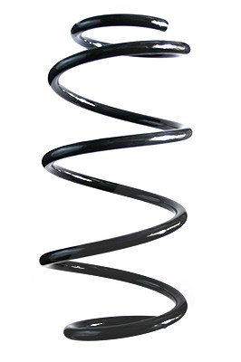 Spidan Fahrwerksfeder [Hersteller-Nr. 85565] für Fiat