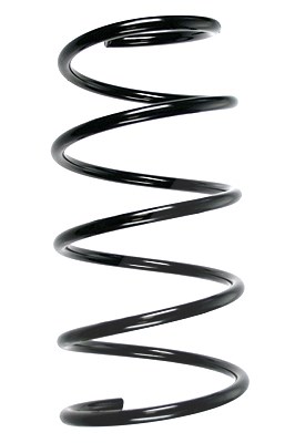 Spidan Fahrwerksfeder [Hersteller-Nr. 49775] für BMW