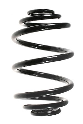 Spidan Fahrwerksfeder [Hersteller-Nr. 55087] für BMW