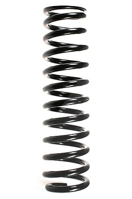 Spidan Fahrwerksfeder [Hersteller-Nr. 49321] für Mercedes-Benz