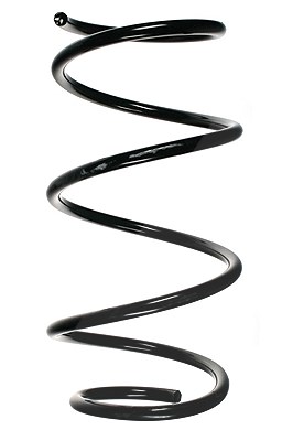Spidan Fahrwerksfeder [Hersteller-Nr. 49793] für BMW