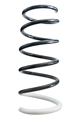 Spidan Fahrwerksfeder [Hersteller-Nr. 87042] für Dacia, Renault