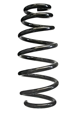 Spidan Fahrwerksfeder [Hersteller-Nr. 85544] für Alfa Romeo
