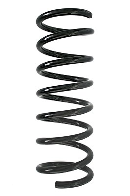 Spidan Fahrwerksfeder [Hersteller-Nr. 86382] für Ford