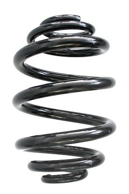 Spidan Fahrwerksfeder [Hersteller-Nr. 55327] für Seat, VW, Ford
