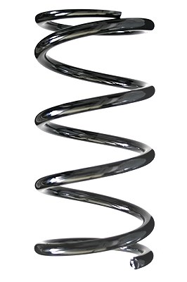 Spidan Fahrwerksfeder [Hersteller-Nr. 49367] für Toyota
