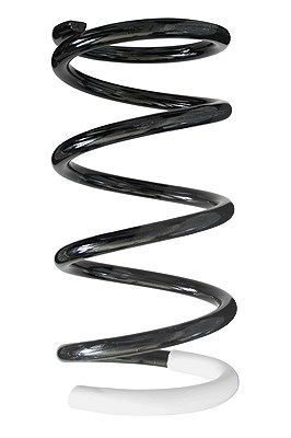 Spidan Fahrwerksfeder [Hersteller-Nr. 56454] für Toyota