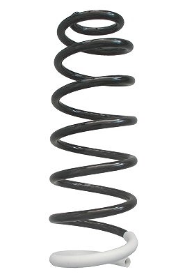 Spidan Fahrwerksfeder [Hersteller-Nr. 86714] für Fiat, Peugeot, Citroën