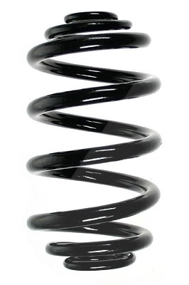 Spidan Fahrwerksfeder [Hersteller-Nr. 56962] für BMW