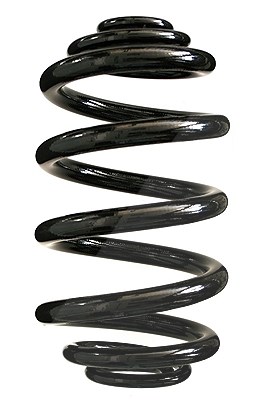 Spidan Fahrwerksfeder [Hersteller-Nr. 85548] für BMW