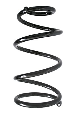 Spidan Fahrwerksfeder [Hersteller-Nr. 85901] für Ford