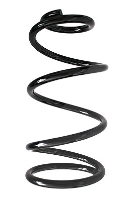 Spidan Fahrwerksfeder [Hersteller-Nr. 85902] für Ford