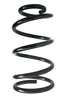 Spidan Fahrwerksfeder [Hersteller-Nr. 86384] für Ford