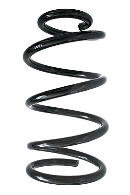 Spidan Fahrwerksfeder [Hersteller-Nr. 86385] für Ford