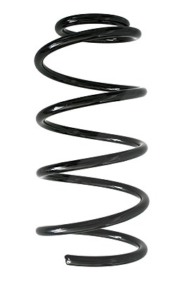 Spidan Fahrwerksfeder [Hersteller-Nr. 85884] für Ford