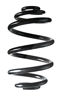 Spidan Fahrwerksfeder [Hersteller-Nr. 85839] für BMW
