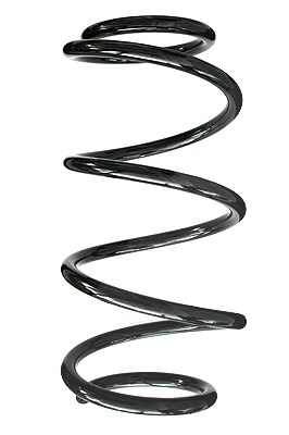Spidan Fahrwerksfeder [Hersteller-Nr. 85958] für Nissan