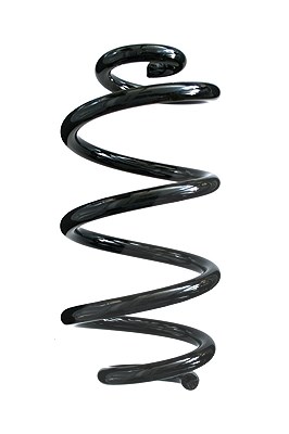 Spidan Fahrwerksfeder [Hersteller-Nr. 85960] für Nissan