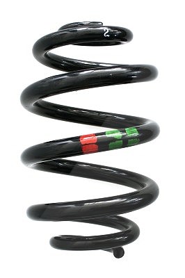 Spidan Fahrwerksfeder [Hersteller-Nr. 86862] für VW