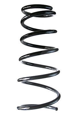 Spidan Fahrwerksfeder [Hersteller-Nr. 85556] für Fiat, Suzuki