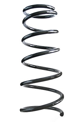 Spidan Fahrwerksfeder [Hersteller-Nr. 85552] für Suzuki, Fiat