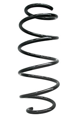 Spidan Fahrwerksfeder [Hersteller-Nr. 86888] für Fiat