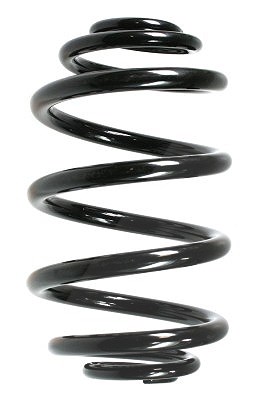 Spidan Fahrwerksfeder [Hersteller-Nr. 55073] für Renault