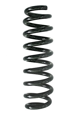 Spidan Fahrwerksfeder [Hersteller-Nr. 86766] für BMW