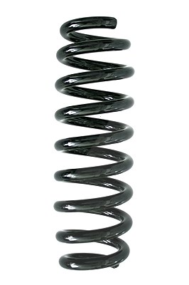 Spidan Fahrwerksfeder [Hersteller-Nr. 86772] für BMW