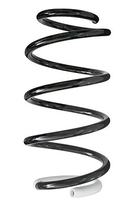 Spidan Fahrwerksfeder [Hersteller-Nr. 86306] für Opel