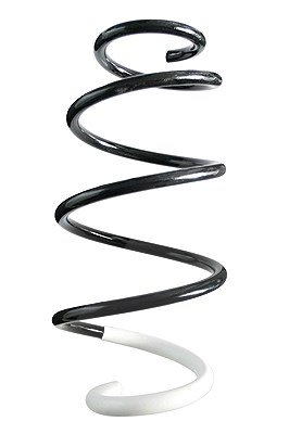 Spidan Fahrwerksfeder [Hersteller-Nr. 86806] für Peugeot, Citroën