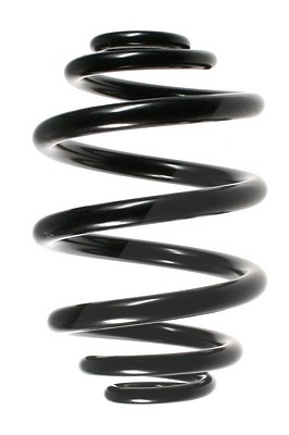 Spidan Fahrwerksfeder [Hersteller-Nr. 49167] für BMW