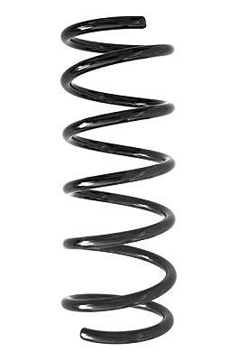 Spidan Fahrwerksfeder [Hersteller-Nr. 85895] für Ford