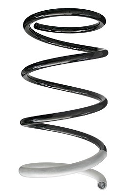 Spidan Fahrwerksfeder [Hersteller-Nr. 86411] für Citroën, Peugeot, Mitsubishi
