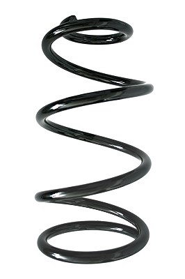 Spidan Fahrwerksfeder [Hersteller-Nr. 85903] für Ford